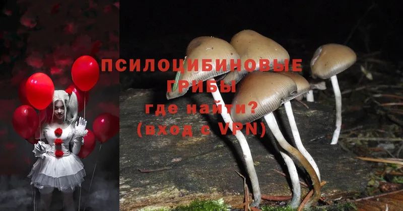 Галлюциногенные грибы Magic Shrooms  mega ТОР  Кузнецк 